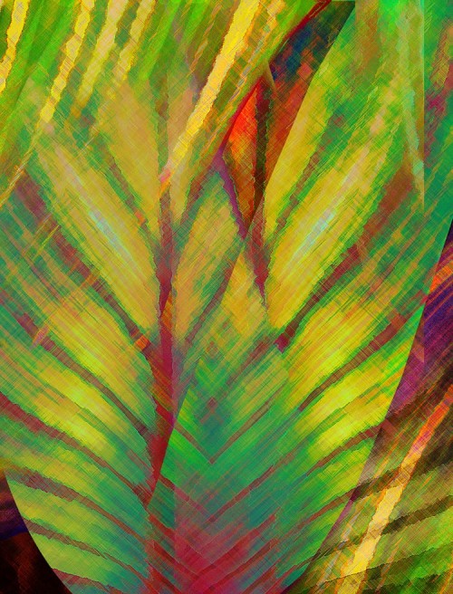Tropical Abstract 2 21