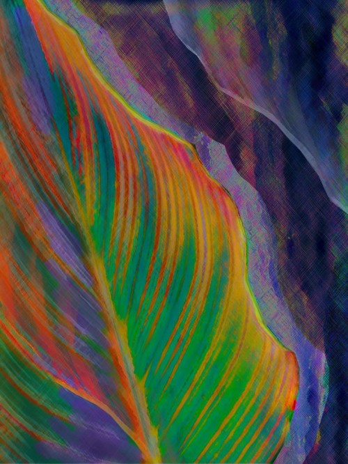 Tropical Abstract 3 16