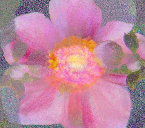 Pink Bloom 2, Digital Painting on Photo Rag 36