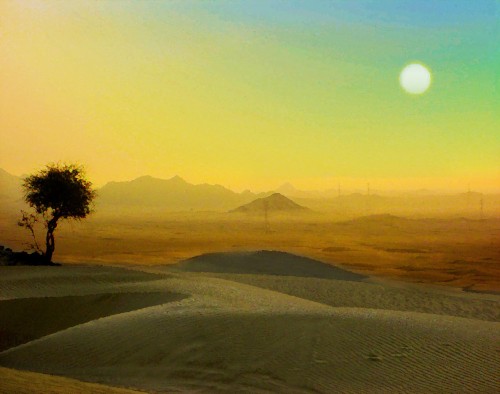 Desert Lookout 1 16