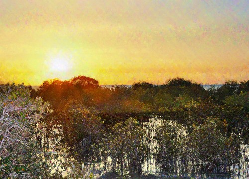 Mangrove Sunset 16